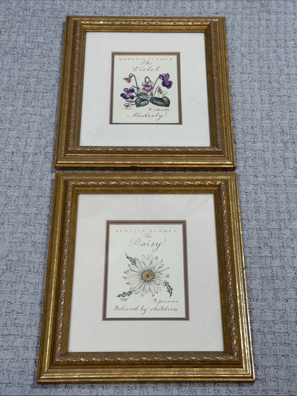 Botanical Prints Daisy Violet French Vintage Decor Gold Framed Wall Hanging Set